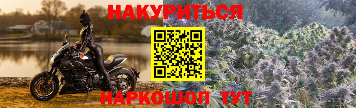 Бошки Шишки индика Куйбышев